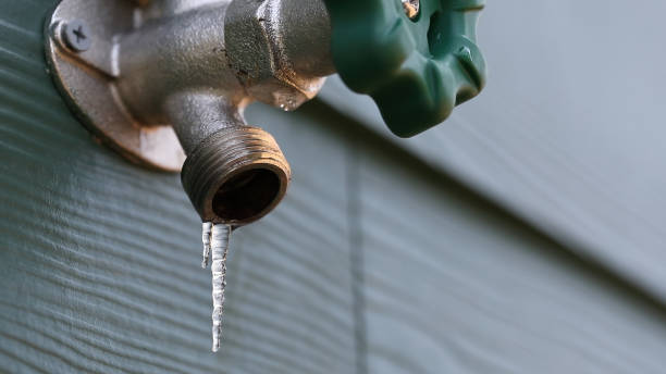 Best Shower Repair Services  in Lyons, WI